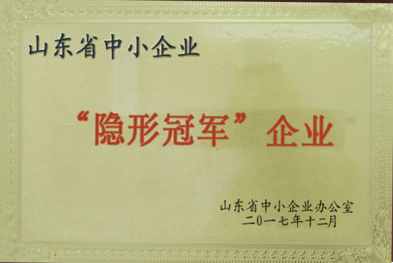 山東省隱形冠軍企業