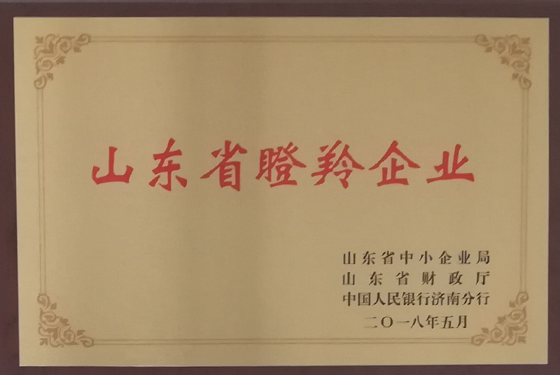 山東省瞪聆企業