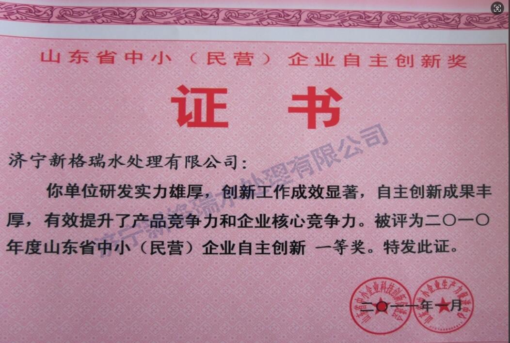 山東省中�。駹I）企業自主創新一等獎